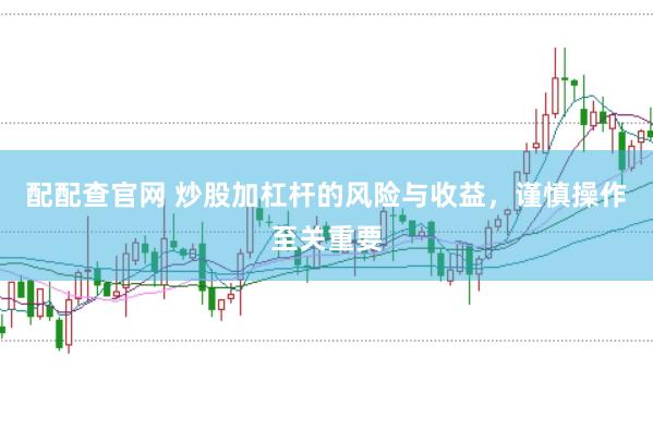 配配查官网 炒股加杠杆的风险与收益，谨慎操作至关重要
