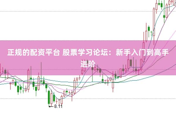 正规的配资平台 股票学习论坛：新手入门到高手进阶
