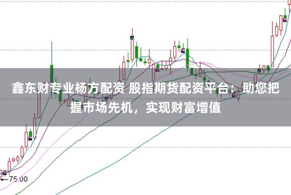 鑫东财专业杨方配资 股指期货配资平台：助您把握市场先机，实现财富增值
