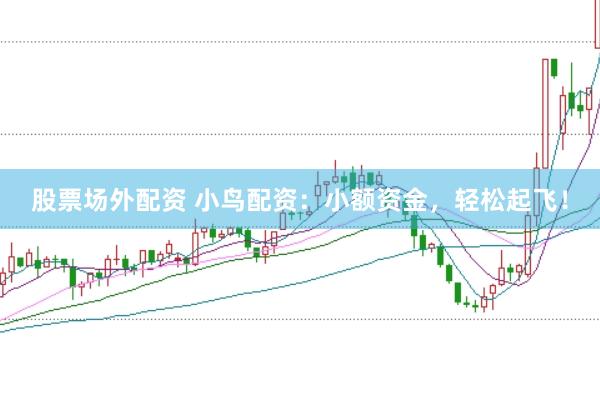 股票场外配资 小鸟配资：小额资金，轻松起飞！