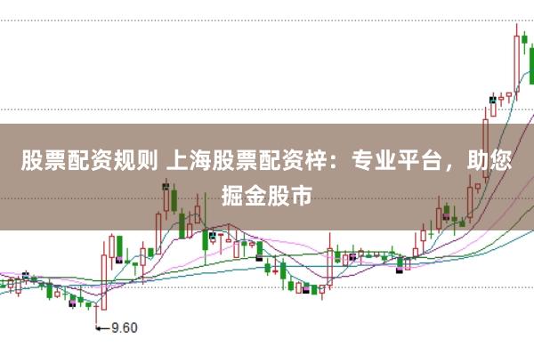 股票配资规则 上海股票配资梓：专业平台，助您掘金股市