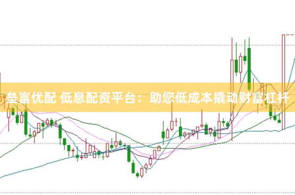 垒富优配 低息配资平台：助您低成本撬动财富杠杆
