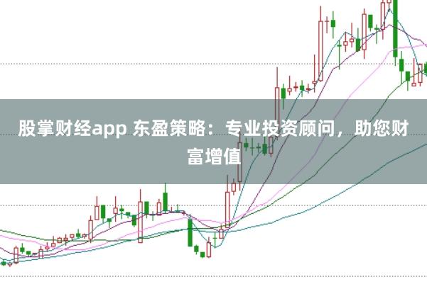 股掌财经app 东盈策略：专业投资顾问，助您财富增值