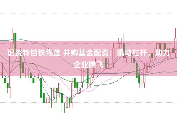 配资铃铛铁线莲 并购基金配资：撬动杠杆，助力企业腾飞
