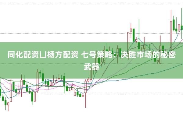 同化配资凵杨方配资 七号策略：决胜市场的秘密武器