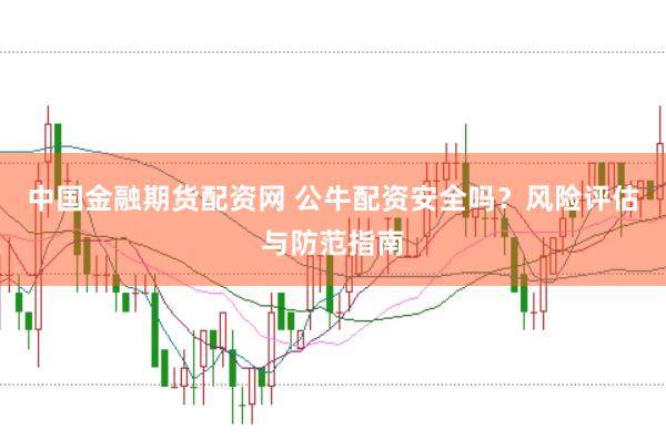 中国金融期货配资网 公牛配资安全吗？风险评估与防范指南