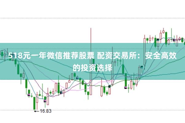 518元一年微信推荐股票 配资交易所：安全高效的投资选择