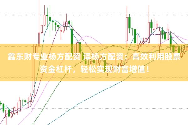 鑫东财专业杨方配资 泽杨方配资：高效利用股票资金杠杆，轻松实现财富增值！