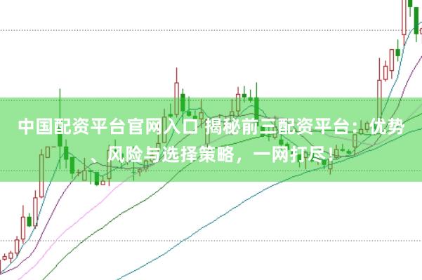 中国配资平台官网入口 揭秘前三配资平台：优势、风险与选择策略，一网打尽！