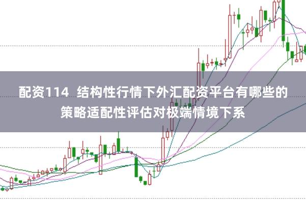 配资114  结构性行情下外汇配资平台有哪些的策略适配性评估对极端情境下系